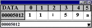 ASCII Data Display